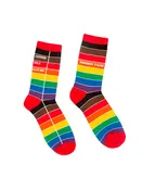 Library Card Pride Socks — Top Toad
