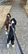 30 Minute Walk — …