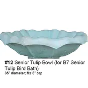 #12 Senior Tulip Bowl