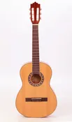 Beginner Acoustic Guitars-Austin 312 &amp; 334