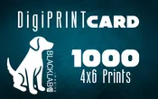1000 4×6 Prints DigiPrint Card