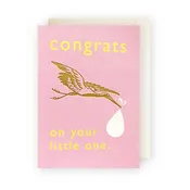 Baby Girl Enclosure Card