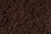 Compost