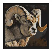 Bighorn Bandana
