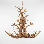 16 Light Elk Antler