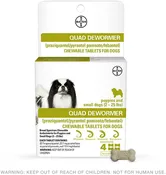 Bayer Quad Chewable Dewormer Small Dog 2-25 lb