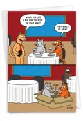 Cat Box: Hysterical Birthday Greeting Card