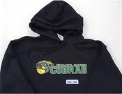 Adult Hooded Sweatshirt