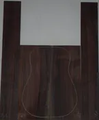 Indian Rosewood 0719_001