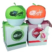 SET 1: Genuine CandyLipz Apple Lip Plumper Set (S to M) | 100k Orders Milestone Reached!