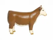 Champion Hereford Show Heifer