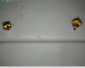 14kt white gold 3mm citrine ea