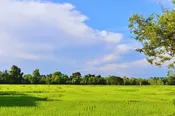 Inland Area Land Lot