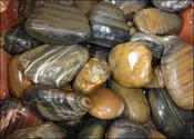 Bengal Striped Beach Pebbles