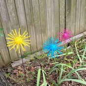 Screwball Flowers