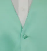 112-610 – Simply Solid Mint
