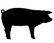 Just Cat Pork