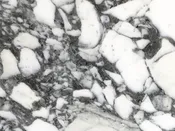 Arabescato Corchia – Lot 2083, 2cm Polished