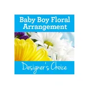 Baby Boy DC 40