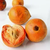 Agbalumo – African star Apple 5 Pieces