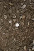 1" Concrete Mix