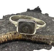 Ammonite Negative Bracelet Top