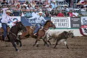Dustin Egusquiza NFR Saddle Pad