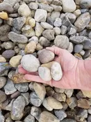 1″to 1.5″ Delaware Round Stone