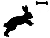 Just Cat Rabbit w/bone