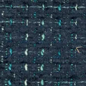 Aster Indigo