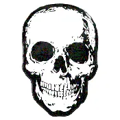 Anatomical Skull Glow Enamel Pin