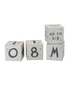101956 Galaxy Milestone Blocks