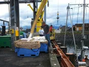 Brailer Bags Standard In-Stock Sizes