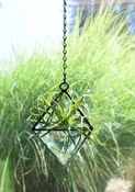 Hanging Beveled Stained Glass Terrarium — Mountain Edge Refined Glass
