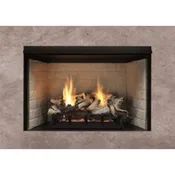 Monessen Exacta Firebox (shown with optional liner)