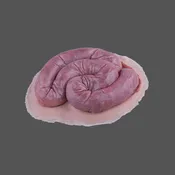 Eviscerated Intestine Wound