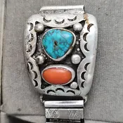Apple watch tips