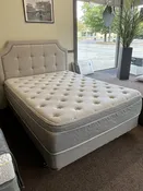 Athena Latex/Pocket Coil Hybrid Mattress