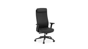 Apex High-Back Executive Chair with Headrest
