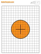 100 Yard Bulls Eye Rifle Target