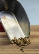 Burdock Root