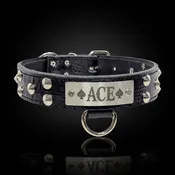 1.5" Wide Custom Leather Cone Studded Nameplate Dog Collar (VN1)