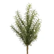 14" Rosemary Fern