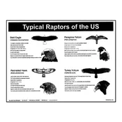 P18: Typical Raptors in the U.S Poster — Mountain Home Biological