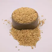 1 lb – Regular Parakeet Food