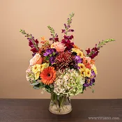 Harvest Beauty