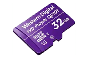 32GB microSD Card (Surveillance Grade)