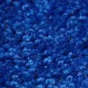 Blue Event Carpet