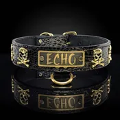 1.5" Name Plate Skull Stud Leather Dog Collar (VN47)