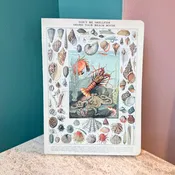 Don't Be Shellfish Journal Notebook